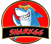 Shark66 เว็บพนันออนไลน์ระดับพรีเมียมที่ครบวงจร